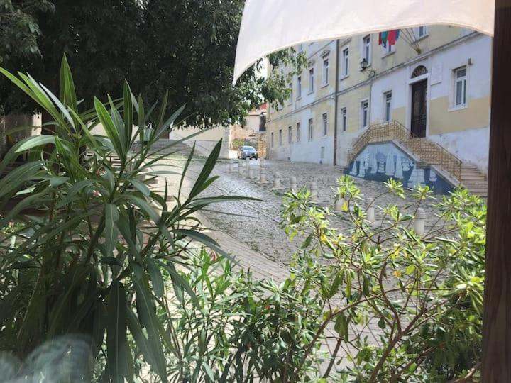 Feel The City Atmosphere Rovinj Extérieur photo
